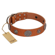"Foxy Nature" FDT Artisan Tan Leather Black Russian Terrier Collar with Chrome Plated Brooches