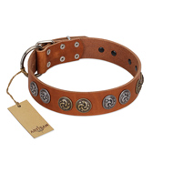 "Luxurious Life" Premium Quality FDT Artisan Tan Leather Black Russian Terrier Collar with Round Adornments