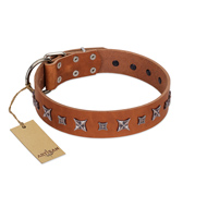 "Star Shine" Exclusive FDT Artisan Tan Leather Black Russian Terrier Collar with Silver-Like Adornments