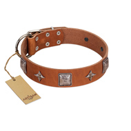"Lucky Star" FDT Artisan Tan Leather Black Russian Terrier Collar with Silver-Like Embellishments
