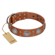 "Far Star" FDT Artisan Tan Leather Black Russian Terrier Collar with Engraved Studs