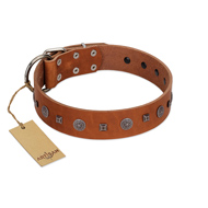 "Sweet Caramel" Designer FDT Artisan Tan Leather Black Russian Terrier Collar