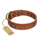 "Lucky Star" Handmade FDT Artisan Designer Tan Leather Black Russian Terrier Collar with Round Plates