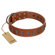 "Silver Century" Fashionable FDT Artisan Tan Leather Black Russian Terrier Collar with Silver-Like Plates
