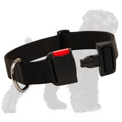 Easy to Wear Dog Collar