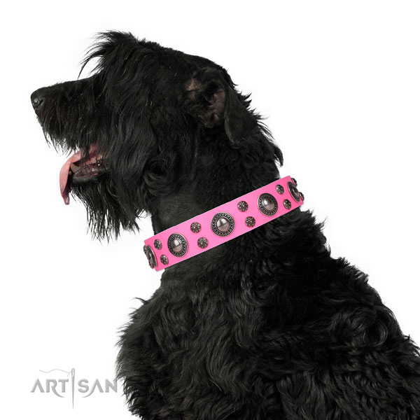 Daily walking studded dog collar of quality natural leather