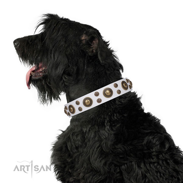 Daily walking decorated dog collar of high quality material