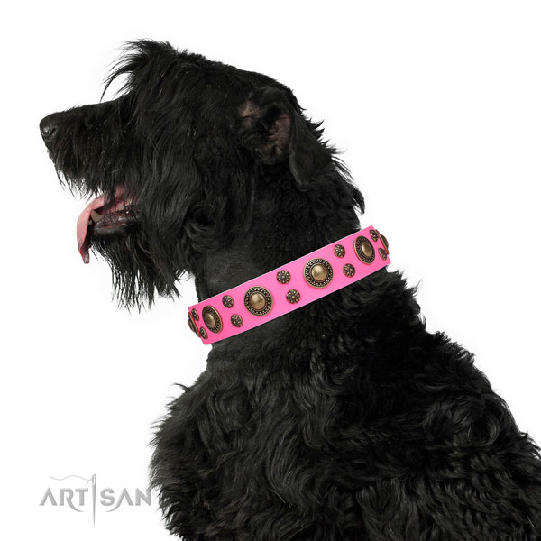 Basic training decorated dog collar of finest quality material