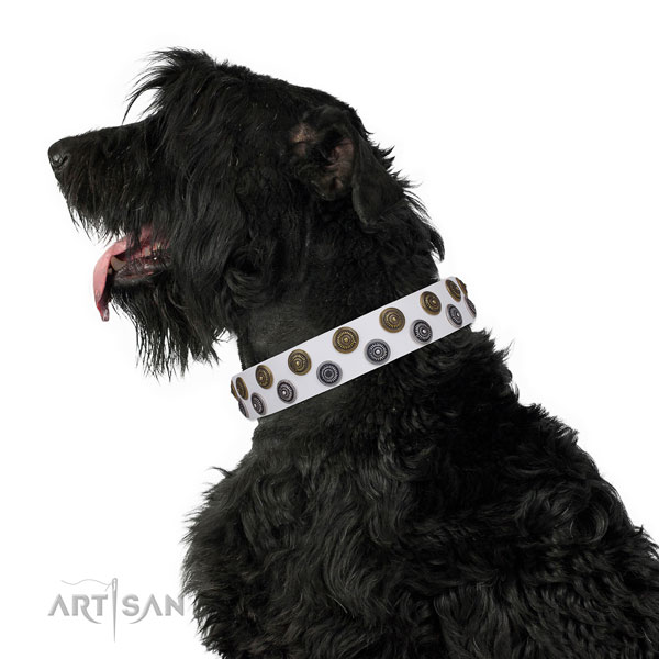 Daily walking decorated dog collar of top notch material