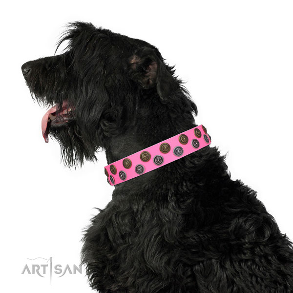 Everyday use adorned dog collar of finest quality material
