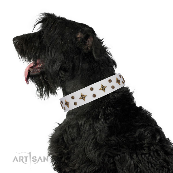 Comfy wearing adorned dog collar of top quality material