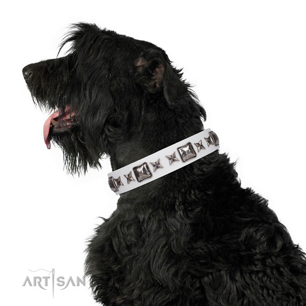 Daily walking embellished dog collar of top quality material