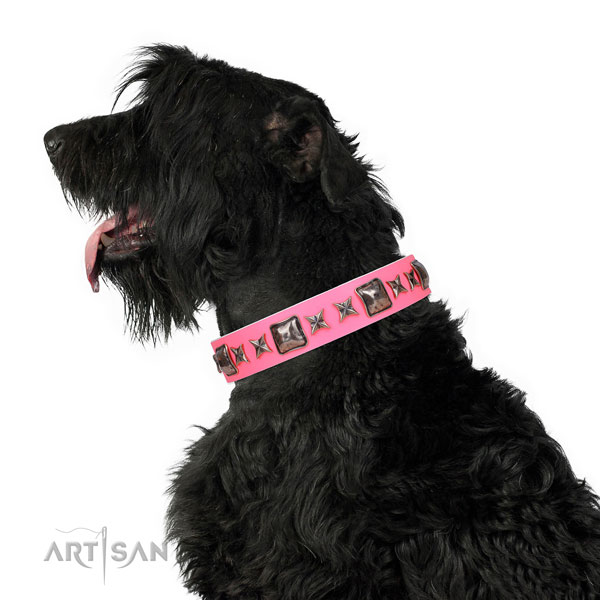 Exceptional decorated genuine leather dog collar for everyday walking