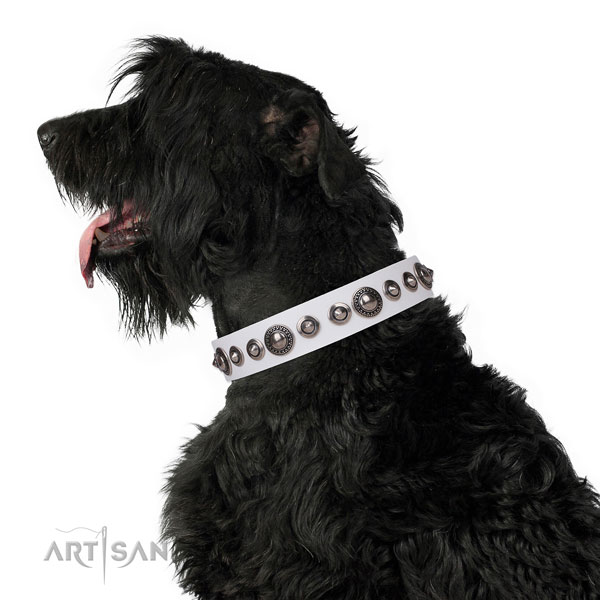 Amazing studded genuine leather dog collar for walking