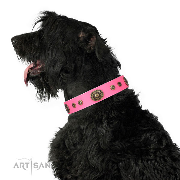 Awesome adorned natural leather dog collar for handy use