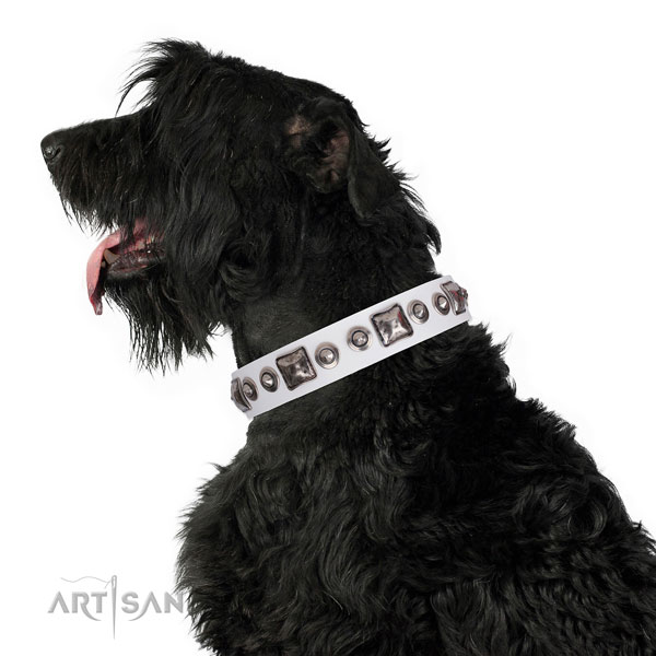 Exceptional adorned genuine leather dog collar for easy wearing