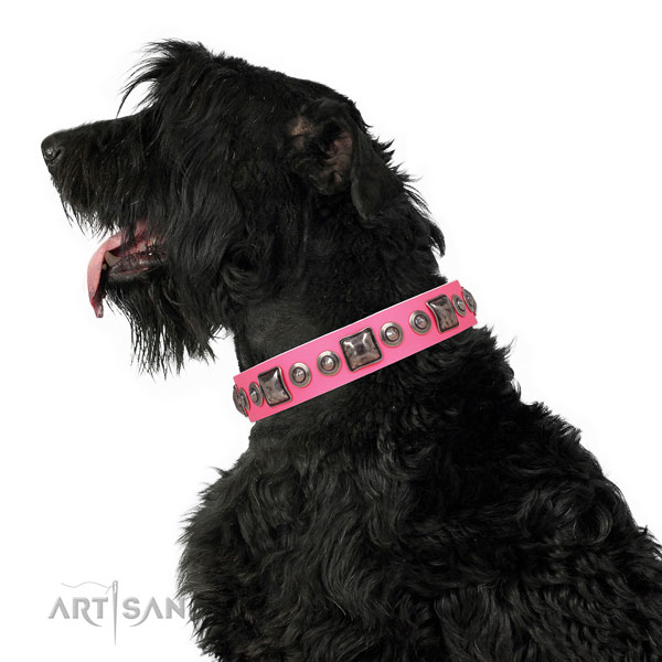 Amazing decorated genuine leather dog collar for easy wearing