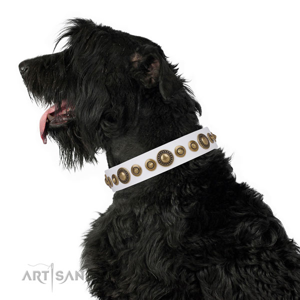 Corrosion proof buckle and D-ring on full grain leather dog collar for everyday use