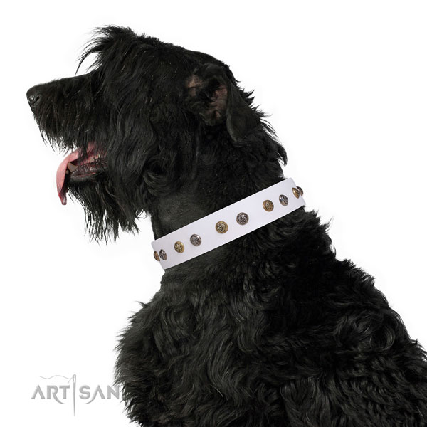 Leather dog collar with corrosion resistant buckle and D-ring for everyday use