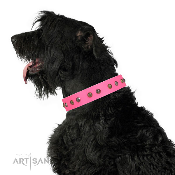 Handy use adorned dog collar made of quality leather
