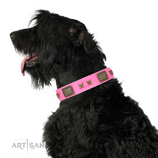Incredible studs on easy wearing full grain natural leather dog collar