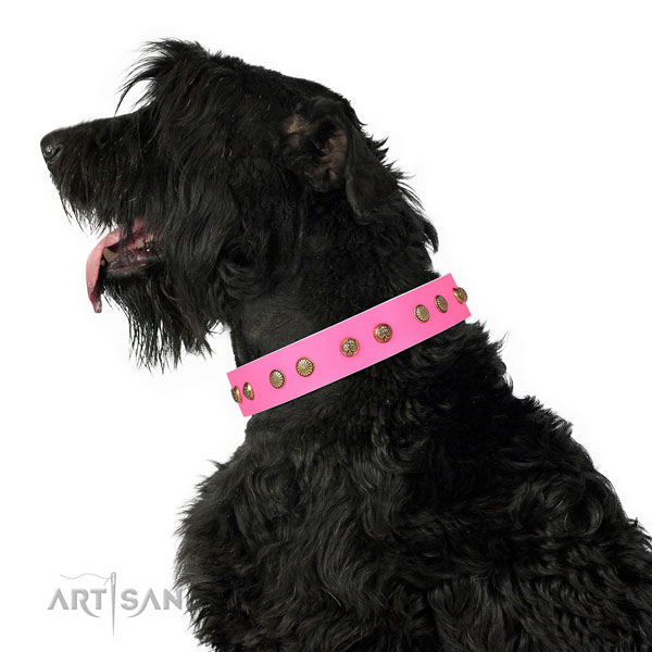 Designer decorations on handy use leather dog collar