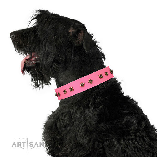 Stunning embellishments on stylish walking dog collar