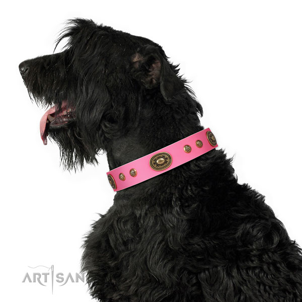 Incredible embellishments on comfy wearing dog collar