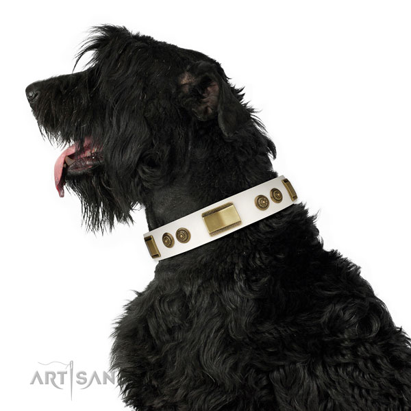 Strong everyday use dog collar of natural leather