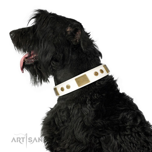 Strong easy wearing dog collar of natural leather