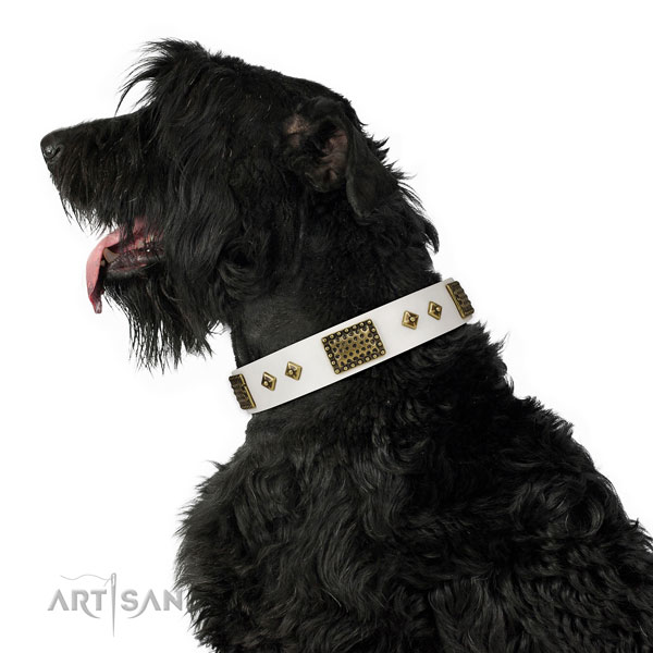 Everyday walking dog collar of genuine leather with stunning adornments
