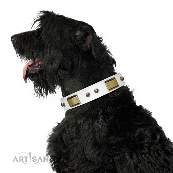 Everyday walking dog collar of leather with significant embellishments