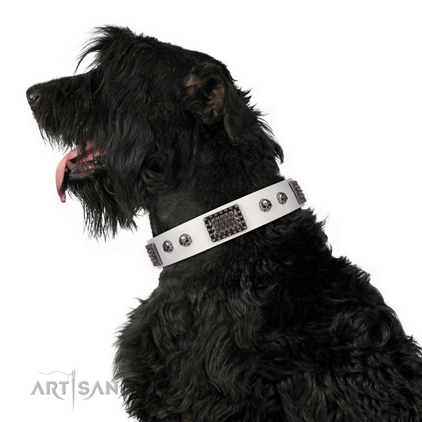 Embellished full grain natural leather collar for your stylish pet
