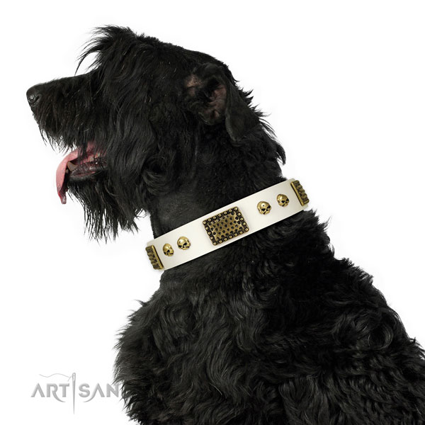 Corrosion proof D-ring on leather dog collar for comfy wearing
