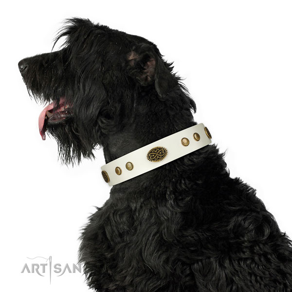 Rust-proof fittings on natural leather dog collar for everyday use