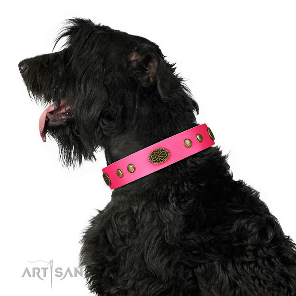 Rust-proof D-ring on genuine leather dog collar for daily walking