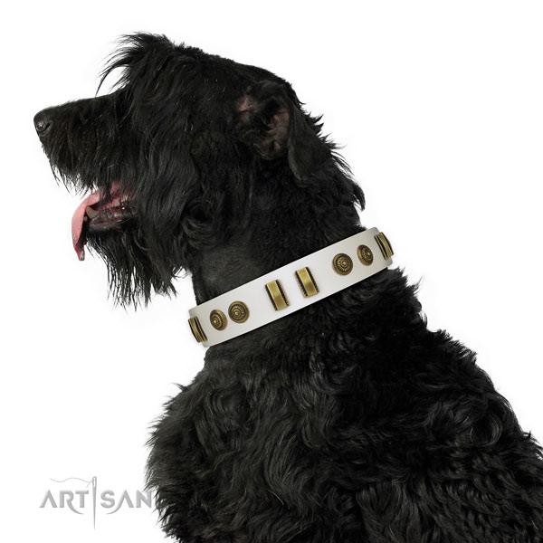 Daily use dog collar of leather with stylish embellishments