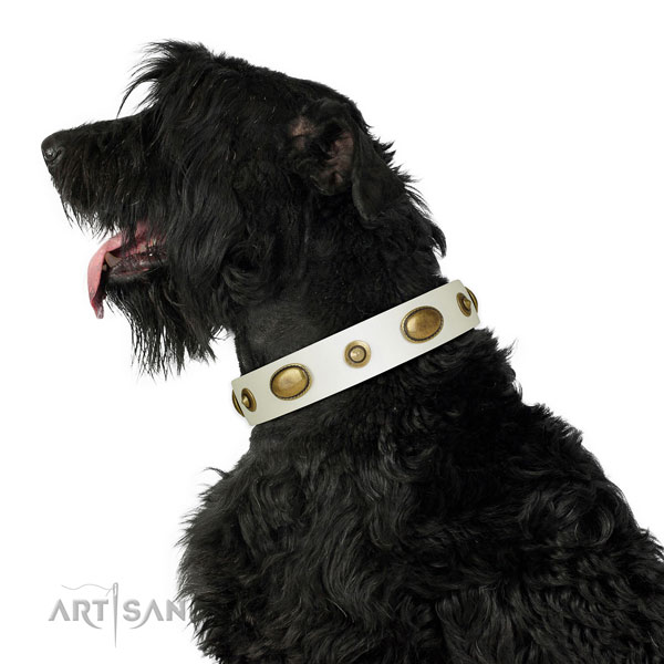 Everyday use dog collar of leather with extraordinary embellishments