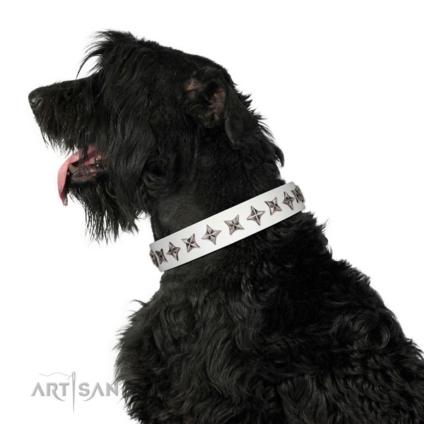 Reliable full grain natural leather dog collar with awesome decorations