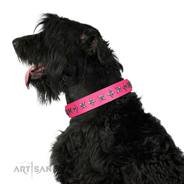 Top notch natural leather dog collar with extraordinary embellishments
