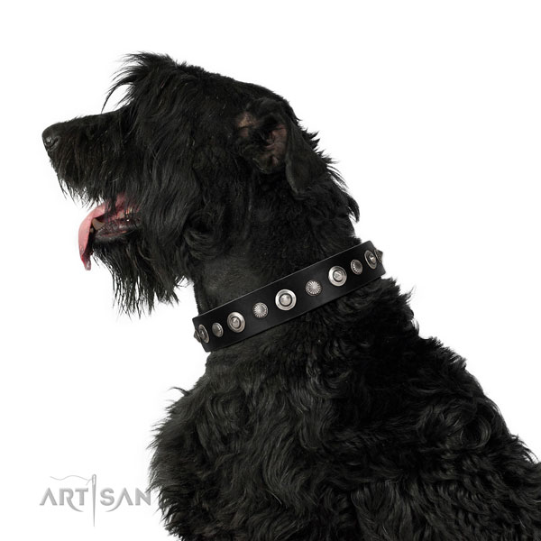 Fine quality full grain genuine leather dog collar with incredible embellishments