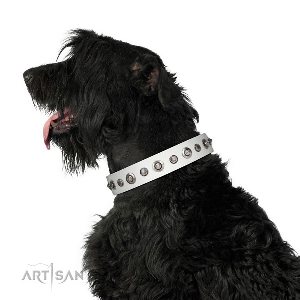 Genuine leather collar with rust resistant buckle for your impressive canine