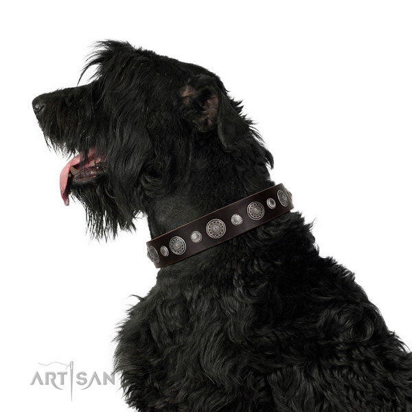 Decorated Full grain natural leather dog collar with corrosion resistant buckle