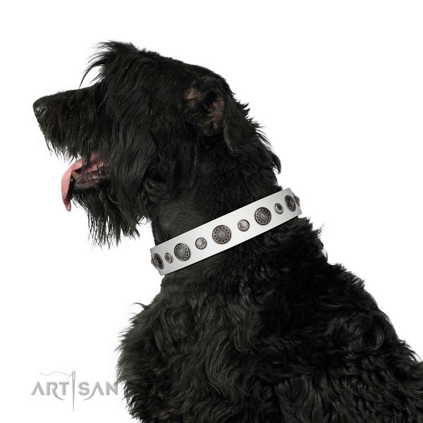Top quality Full grain natural leather dog collar with rust-proof D-ring