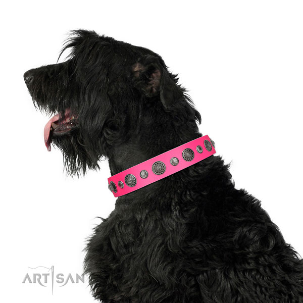 Embellished natural leather dog collar with rust-proof buckle
