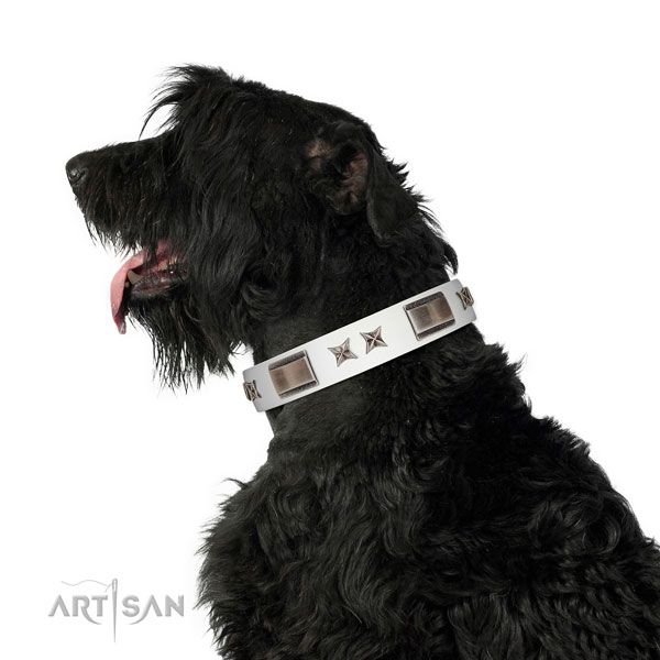Studded collar of genuine leather for your handsome canine