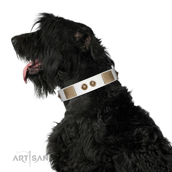 Comfy wearing dog collar of natural leather with inimitable decorations