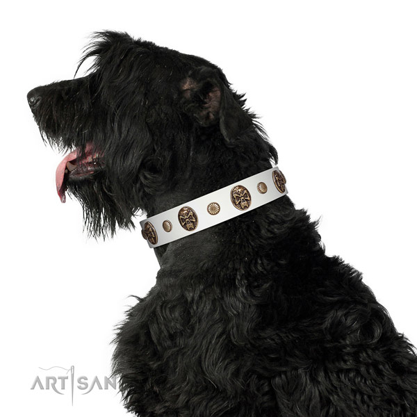 Best quality dog collar made for your handsome pet