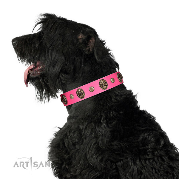 Rust-proof D-ring on genuine leather dog collar for daily walking