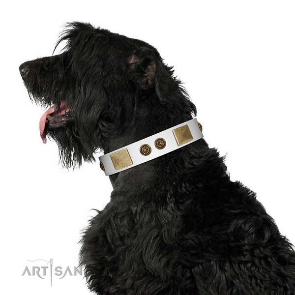 Impressive dog collar crafted for your impressive four-legged friend